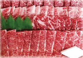 国産牛焼き肉セット.jpg